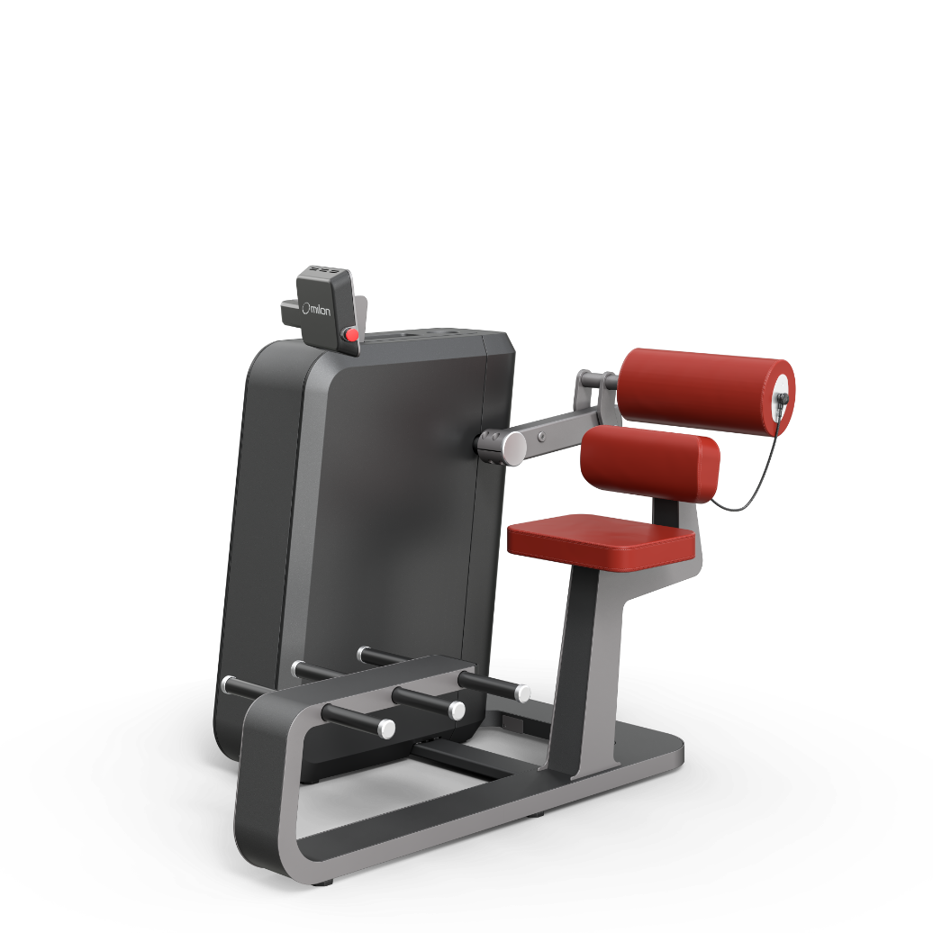 milon Q Back Extension