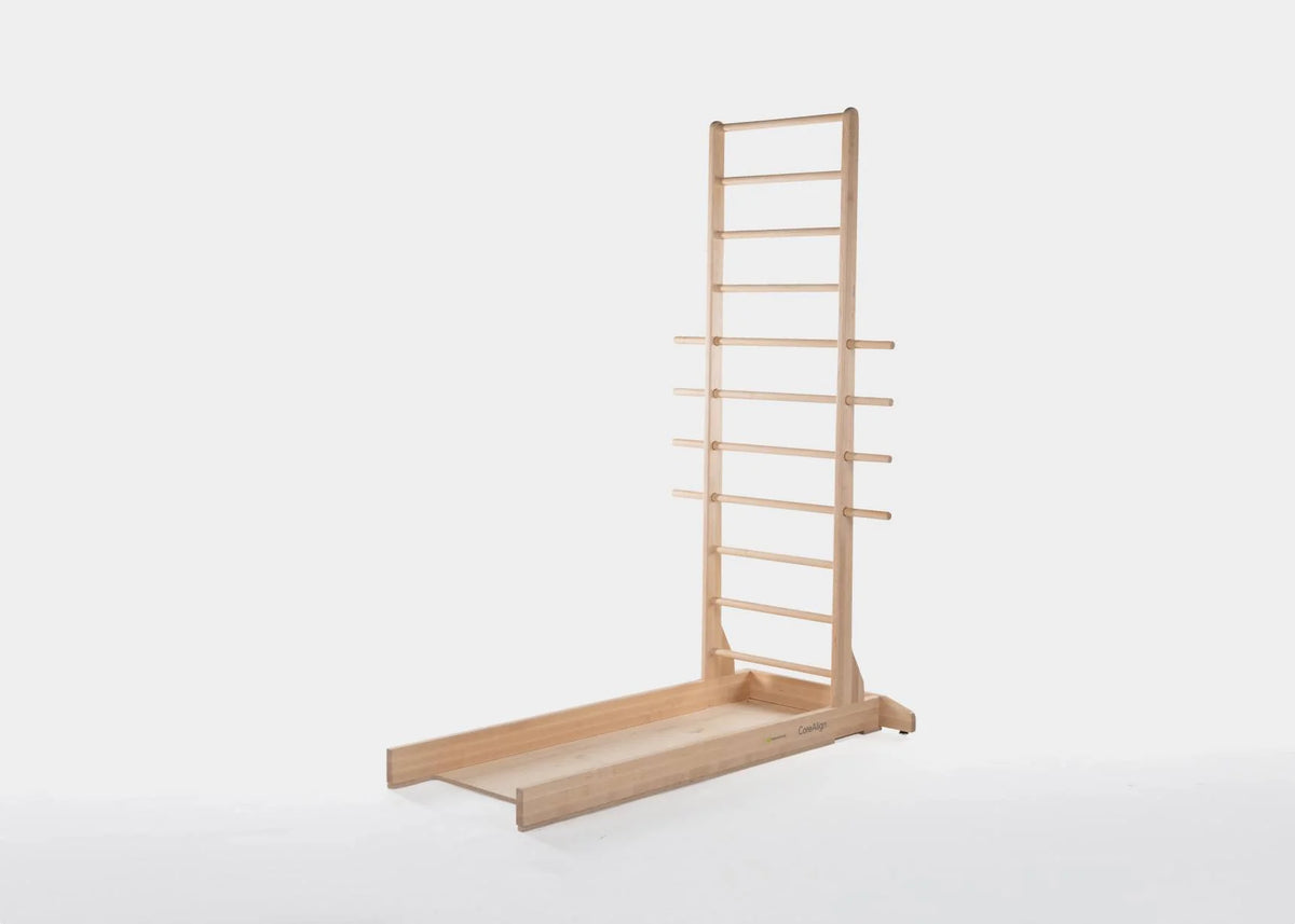 CoreAlign® Freestanding Ladder